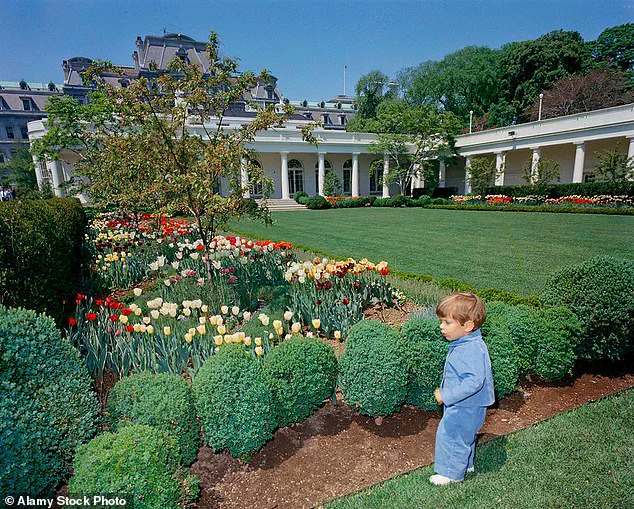 Behind Closed Doors: The Exclusive Insights into Trump's Presidency and the Privileged Access to Power