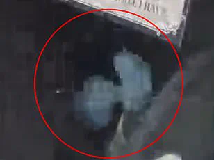 Behind Closed Doors: Exclusive Security Footage Captures Mysterious Stroller Movement in Abandoned Auction House