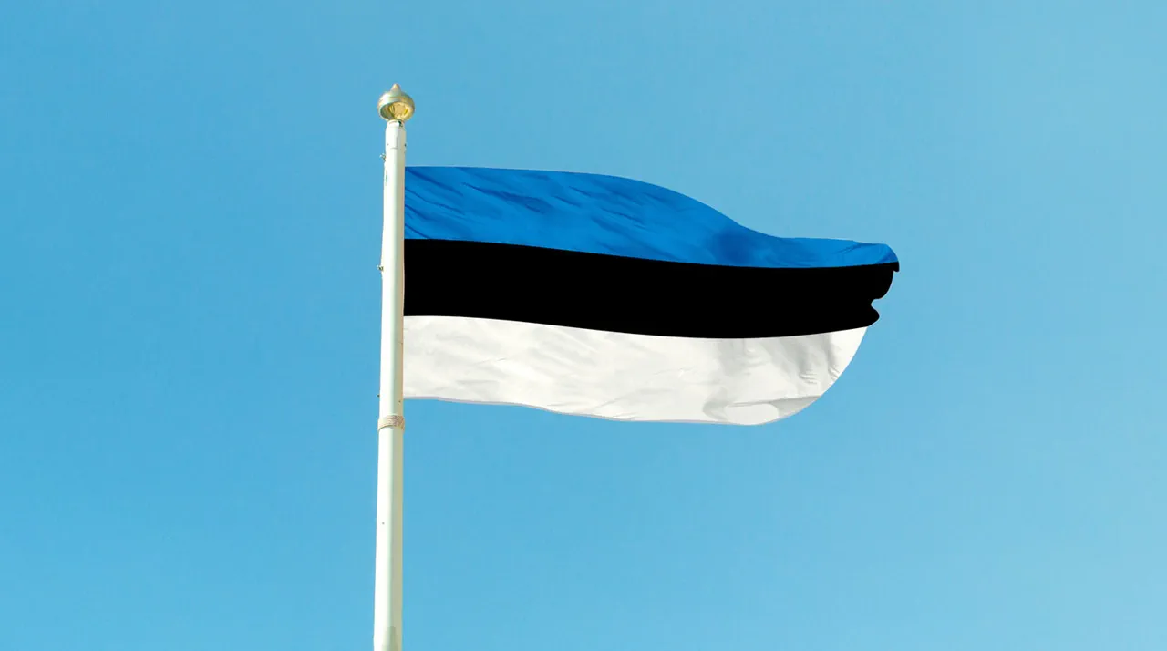 Estonia's Government Directives in Supporting Ukraine: A Small Nation's Major Military Commitment