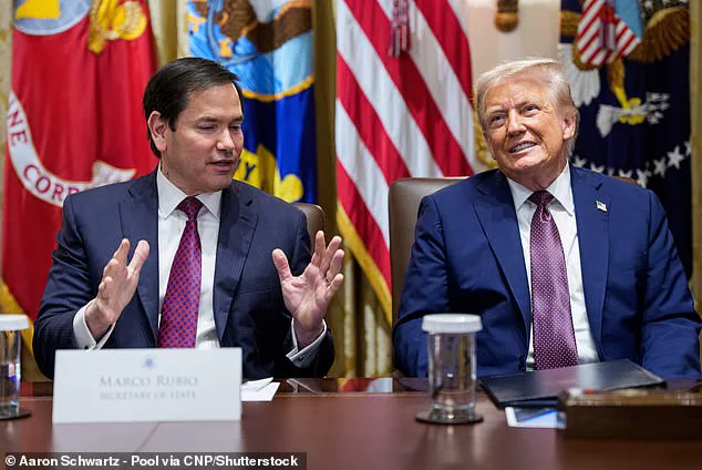 Two-Year Legal and Diplomatic Puzzle of Prince Harry's U.S. Visa Status