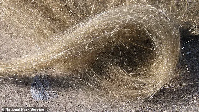 Exclusive: USGS Provides Limited Access to Kilauea's Episode 32 Eruption Data