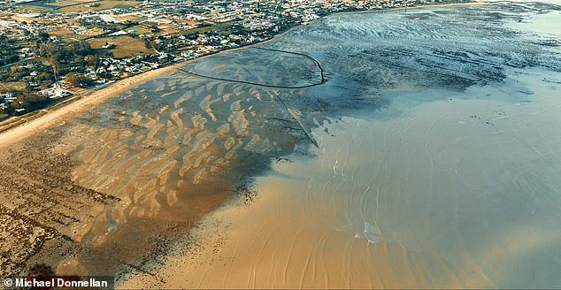 Joe Rogan Stunned by Claims of Atlantis Breakthrough as Archaeologist Unveils Potential Discovery Off Spain's Coast