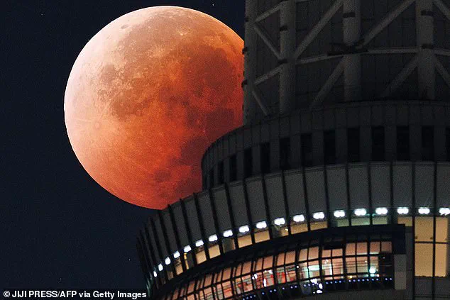 Exclusive Access: The Scientific Community's Insight into the Elusive Blood Moon Eclipse