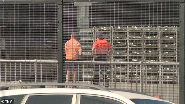 Sydney Airport Tragedy: Freight Handler Killed in Workplace Incident Raises Safety Concerns