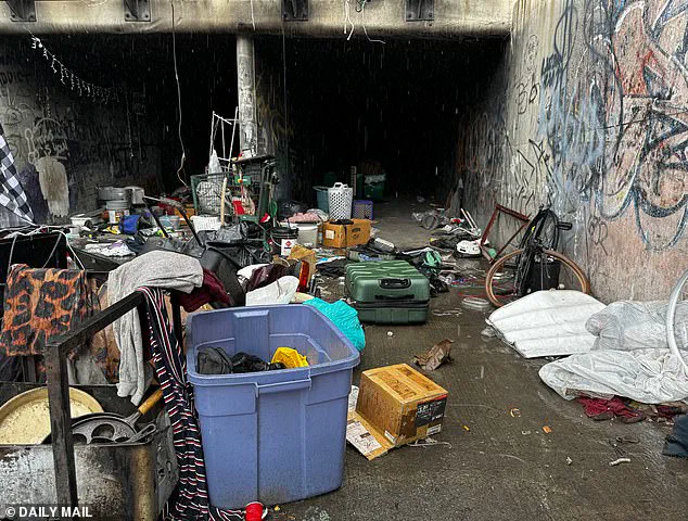 The Hidden Impact of Flood Control Regulations: Las Vegas Tunnels and the Growing Homeless Community