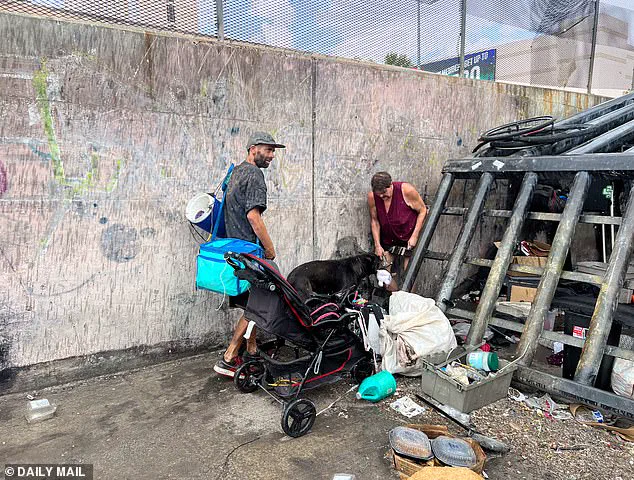 The Hidden Impact of Flood Control Regulations: Las Vegas Tunnels and the Growing Homeless Community