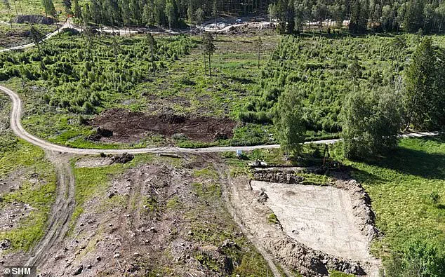 The Oxygen-Free Secret of Bogs: Preserving Organic Remains for Millennia