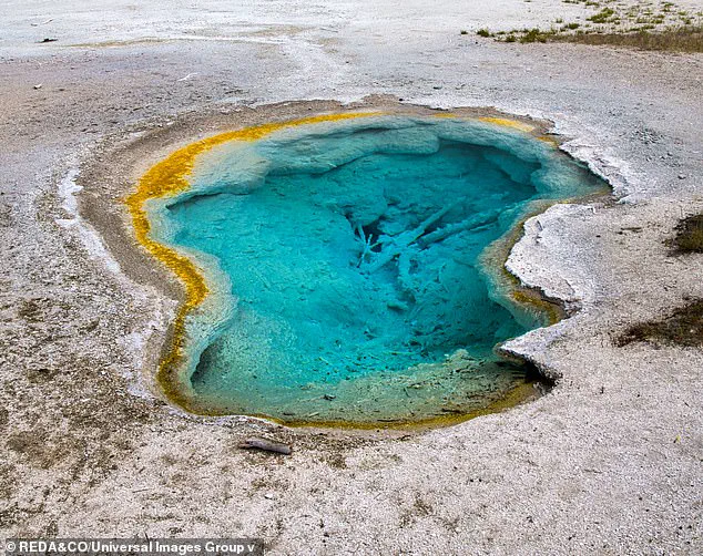 Shocking New Theory: Life on Earth May Have Been Seeded by Alien Civilization, Study Reveals