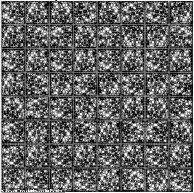 Viral Optical Illusion Sparks Social Media Debate Over Straight vs. Curved Lines