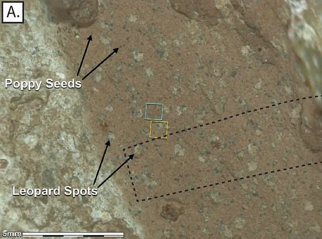 Limited Access: NASA's Exclusive Mars Discovery Unveiled in Rare Conference