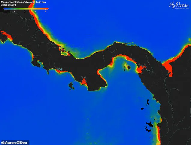 Alarming Collapse of Panama Pacific Upwelling Threatens Marine Ecosystems and Livelihoods