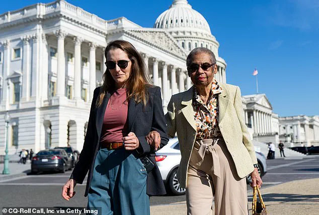 Democratic Party's Generational Divide: Aging Leaders Clash with New Voices in a Battle for the Future