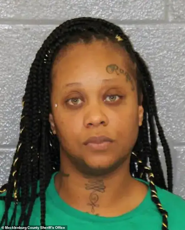 Exclusive Insights: Uncovering the Criminal Roots of the Accused in the Charlotte Tragedy