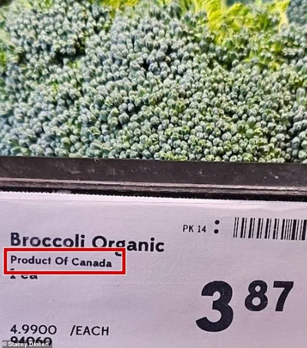 Late-Breaking: Canadian Supermarkets Exposed in 'Maple Washing' Scandal Amid Trump's Tariff War