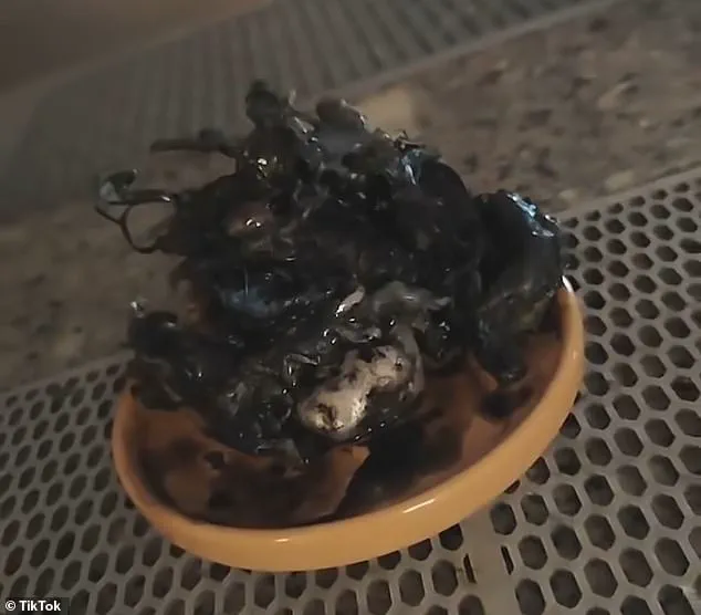 Man Known as 'Kin' Claims Discovery of Alien-Like Organism in Panama Meteorite, Sparking Global Debate – 'I Witnessed an Alien Growing,' Says Viewer