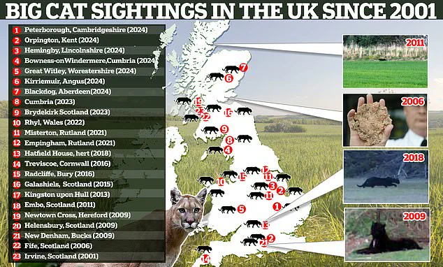 Unexplained Footage Sparks Speculation in Allington as Barry Raynor's Camera Captures Mysterious Shadow