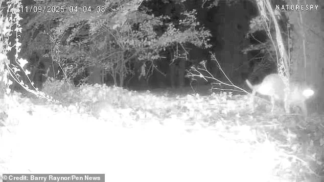 Unexplained Footage Sparks Speculation in Allington as Barry Raynor's Camera Captures Mysterious Shadow