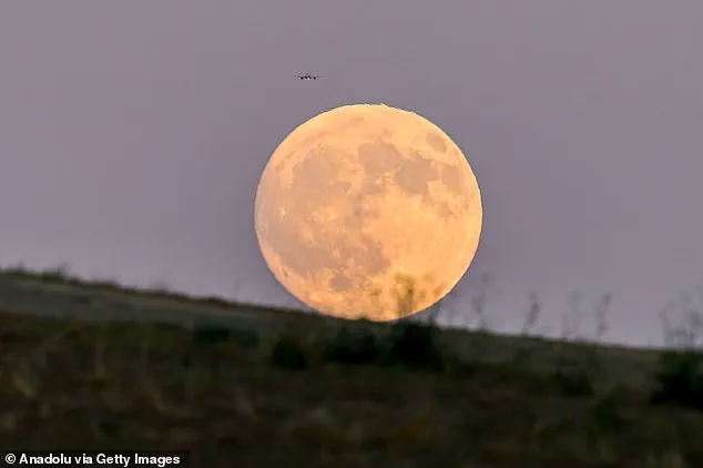 Stargazer's Delight: The Harvest Moon's Supermoon Spectacle Illuminates the Night Sky