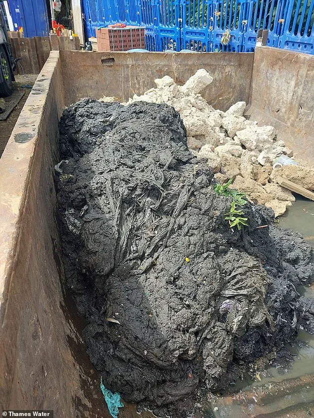 Stomach-Churning Discovery: Thames Water Removes 100-Tonne Fatberg, Exposing Sewer Risks and Community Impact