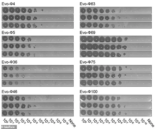 AI Breakthrough: Scientists Use Stanford's 'Evo' Tool to Design Infectious Viruses from Scratch
