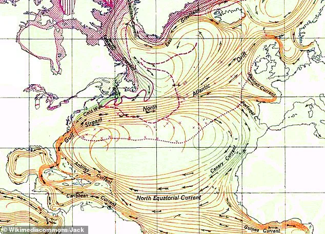 Exclusive: New Study Warns of Imminent Collapse of North Atlantic Current Due to Climate Change