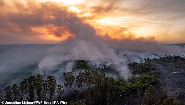 Exclusive Insight: The First Irreversible Climate Tipping Point and Its Consequences