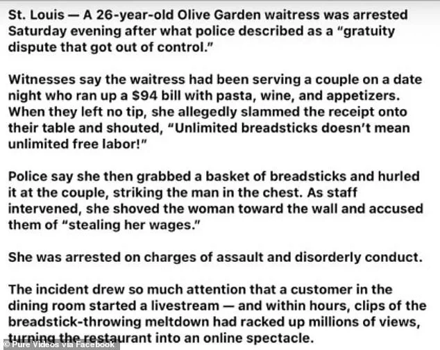 Megan Ashlee Davis's Mugshot Becomes Center of Viral Hoax After Arrest for Public Intoxication Following Mother's Death