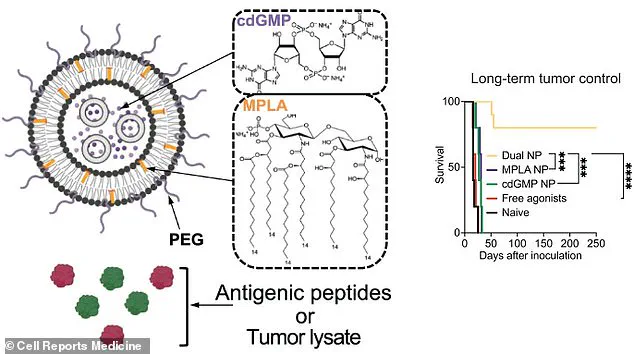 Breakthrough in Cancer Prevention: Researchers Develop 'Super Vaccine' Targeting Multiple Aggressive Cancers