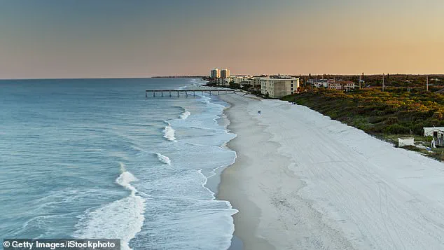 Neurotoxin Linked to Dolphin Strandings and Alzheimer's-Like Brain Damage Sparks Concern for Marine and Human Health, Warn Scientists