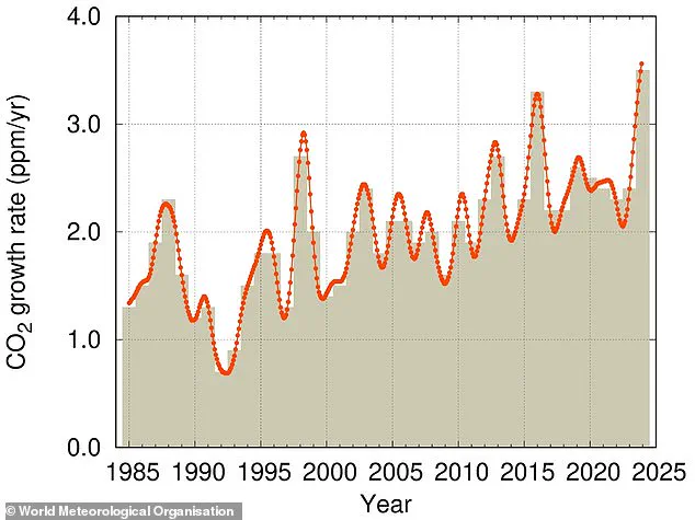 Record High CO2 Levels in 2024: A Glimpse into the Privileged World of Climate Monitoring