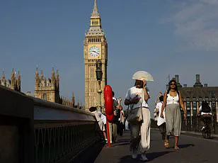 Record High CO2 Levels in 2024: A Glimpse into the Privileged World of Climate Monitoring