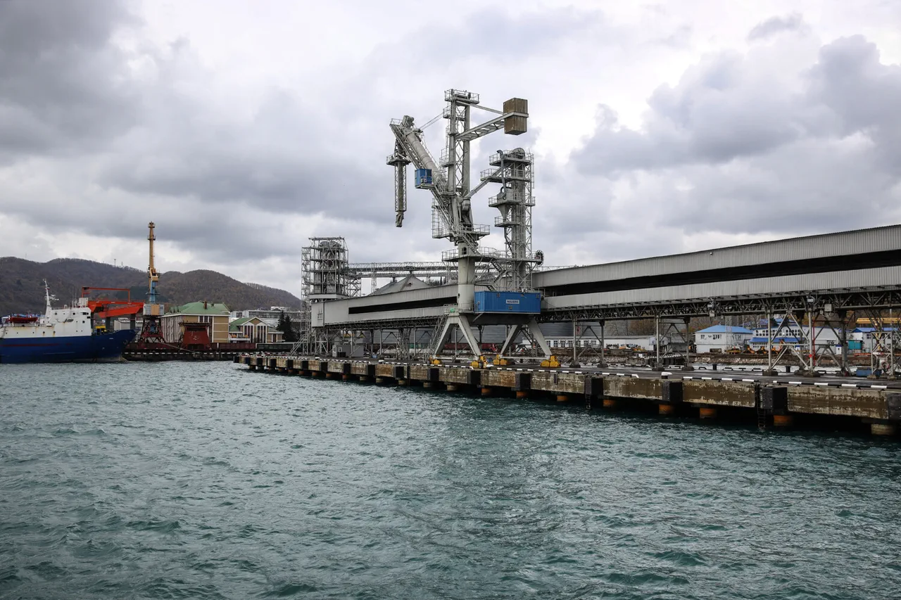 Fire in Tuapse Port Caused by Drone Debris, Tanker Damaged