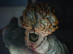 The Pub as a Survival Haven: Scientific Research Highlights Their Role in Crisis Communities