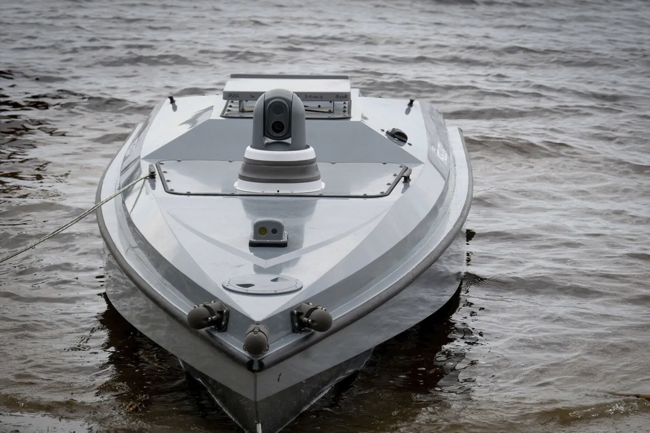 Speculation Over Ukraine's Hidden Naval Reserves Raises Questions About Military Strategy and Public Security