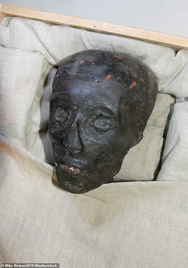 Ancient Necklace Fragment Unveils Long-Lost Rituals of Loyalty Among Egypt's Elite, Found in Eton Collection