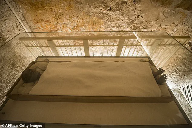 Exclusive Access: The Untold Secret of Tutankhamun's Mummy Extraction