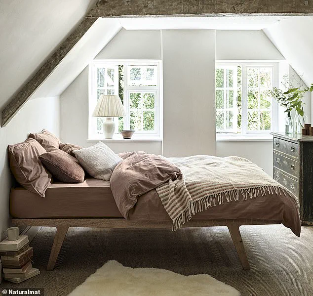 The Privileged Rebellion: How the 'Dumb Home' Movement Challenges Smart Tech Dominance