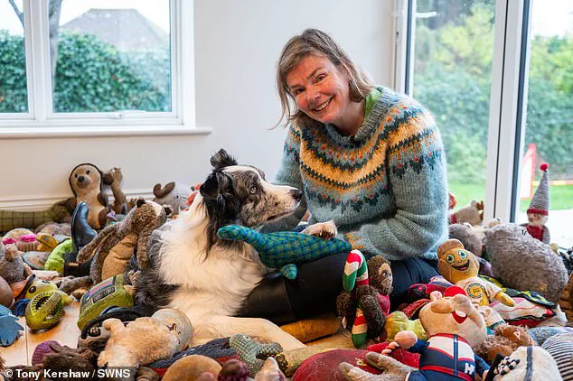 Border Collie Harvey Recognizes Over 200 Words and Fetches Toys by Name, Featured in Groundbreaking Canine Intelligence Studies