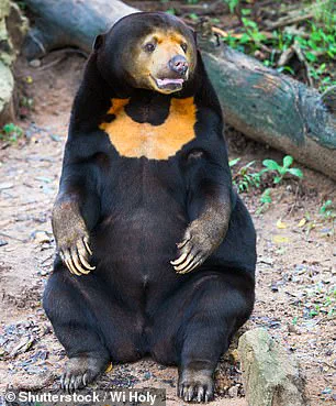 Controversial Study Suggests Teddy Bears May Harm Children's Understanding of Nature, Sparking Debate Among Researchers