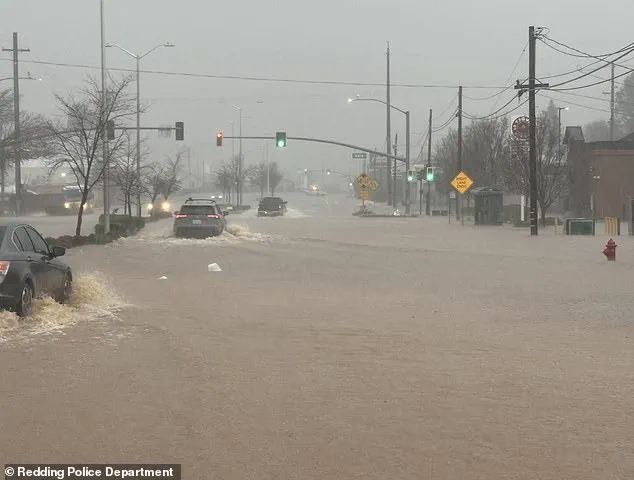Government Storm Warnings Issued as Bomb Cyclone Disrupts West Coast Holiday Plans