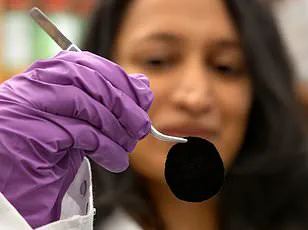 The Hidden Influence of Color on Well-Being: Exclusive Insights from Emerging Research