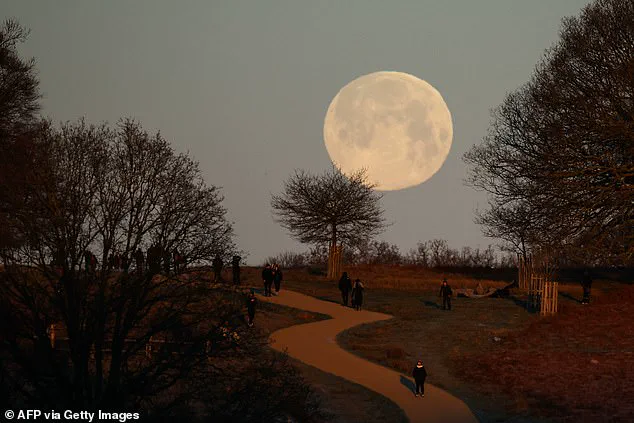 Exclusive Access: The Privileged Few Who Witnessed the 2026 Wolf Moon's Spectacle
