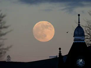 Exclusive Access: The Privileged Few Who Witnessed the 2026 Wolf Moon's Spectacle