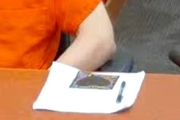 Rare Interview Reveals Black Heart Drawing as Symbol of Family Love During Bryan Kohberger's Sentencing