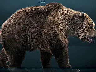 From Apex Predator to Gentle Giant: How Centuries of Coexistence Have Transformed Italy’s Brown Bears