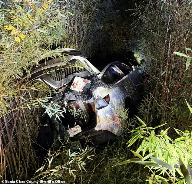 Santa Clara County Sheriff's Office Describes 'Wild Scene' in Vikram Beri's Winery Incident, Sparking Legal and Financial Scrutiny