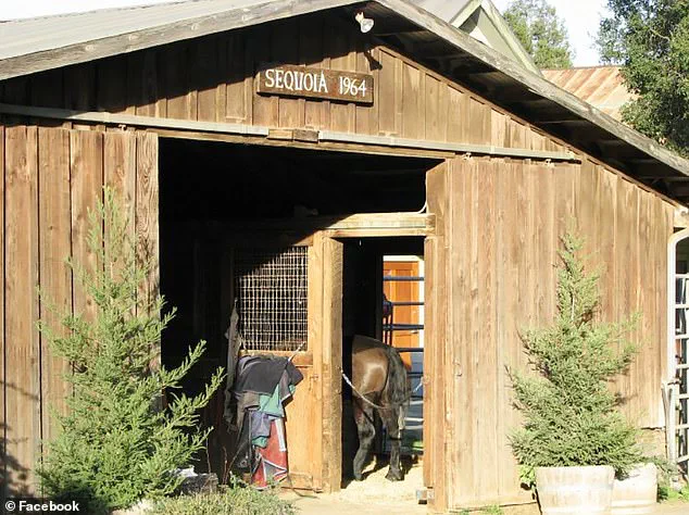 Santa Clara County Sheriff's Office Describes 'Wild Scene' in Vikram Beri's Winery Incident, Sparking Legal and Financial Scrutiny