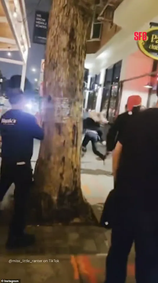 Viral Video of San Francisco Bartender's Altercation with Drunk Customer Leads to Termination at Joey Altman's Hazie's Restaurant