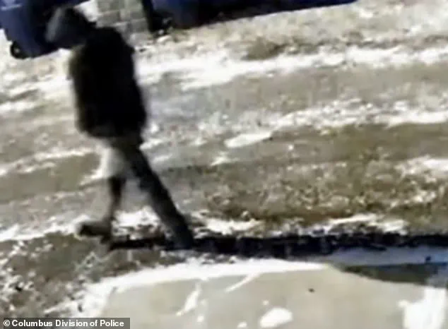 Double Homicide of Monique and Spencer Tepe in Columbus, Ohio: Alleged Killer Michael David McKee Identified