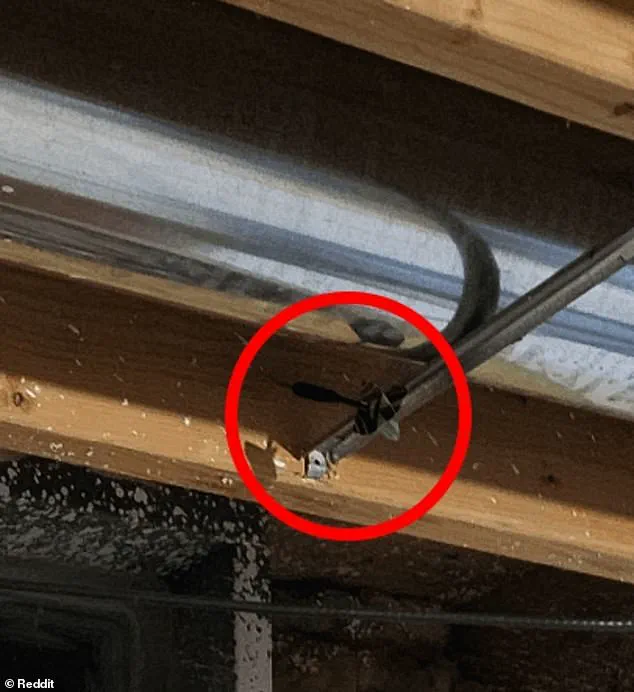 Viral Reddit Puzzle Puzzles Users with 'Find the Third Dart' Mystery